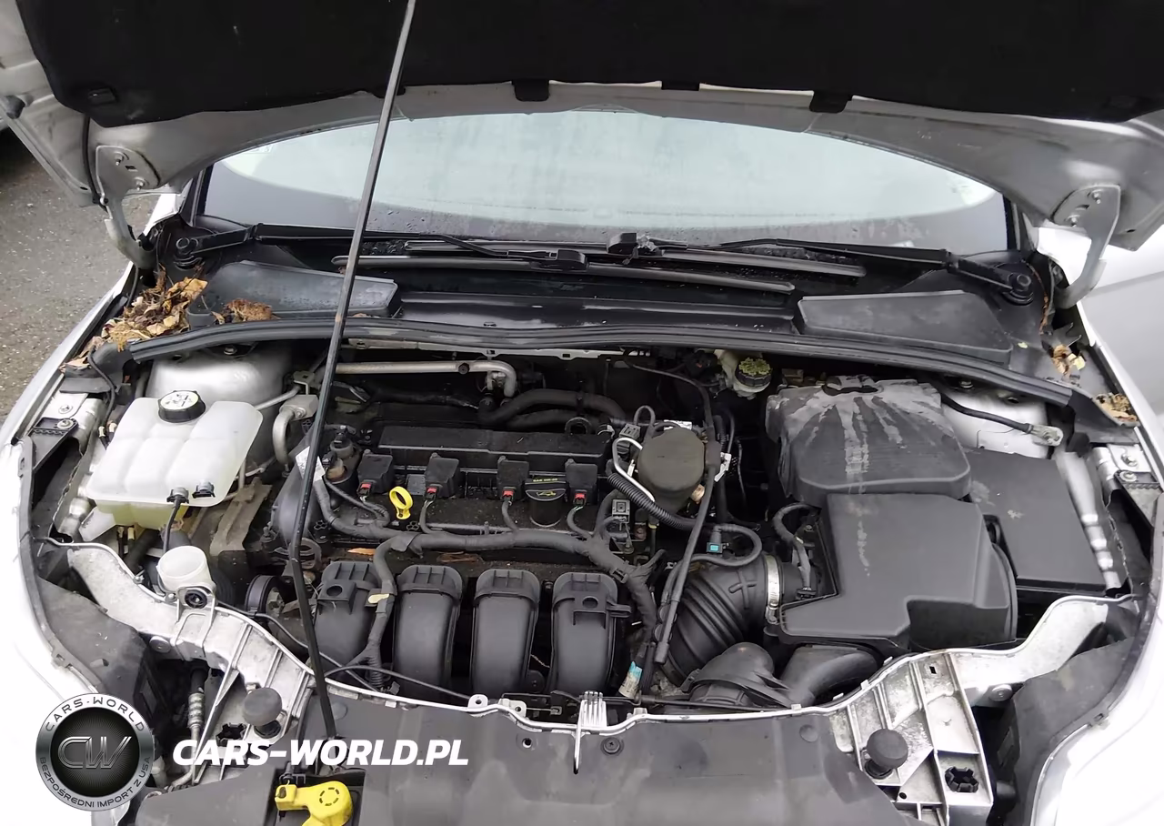 2013 Ford Focus Se VIN:1FADP3K21DL280194 - 10