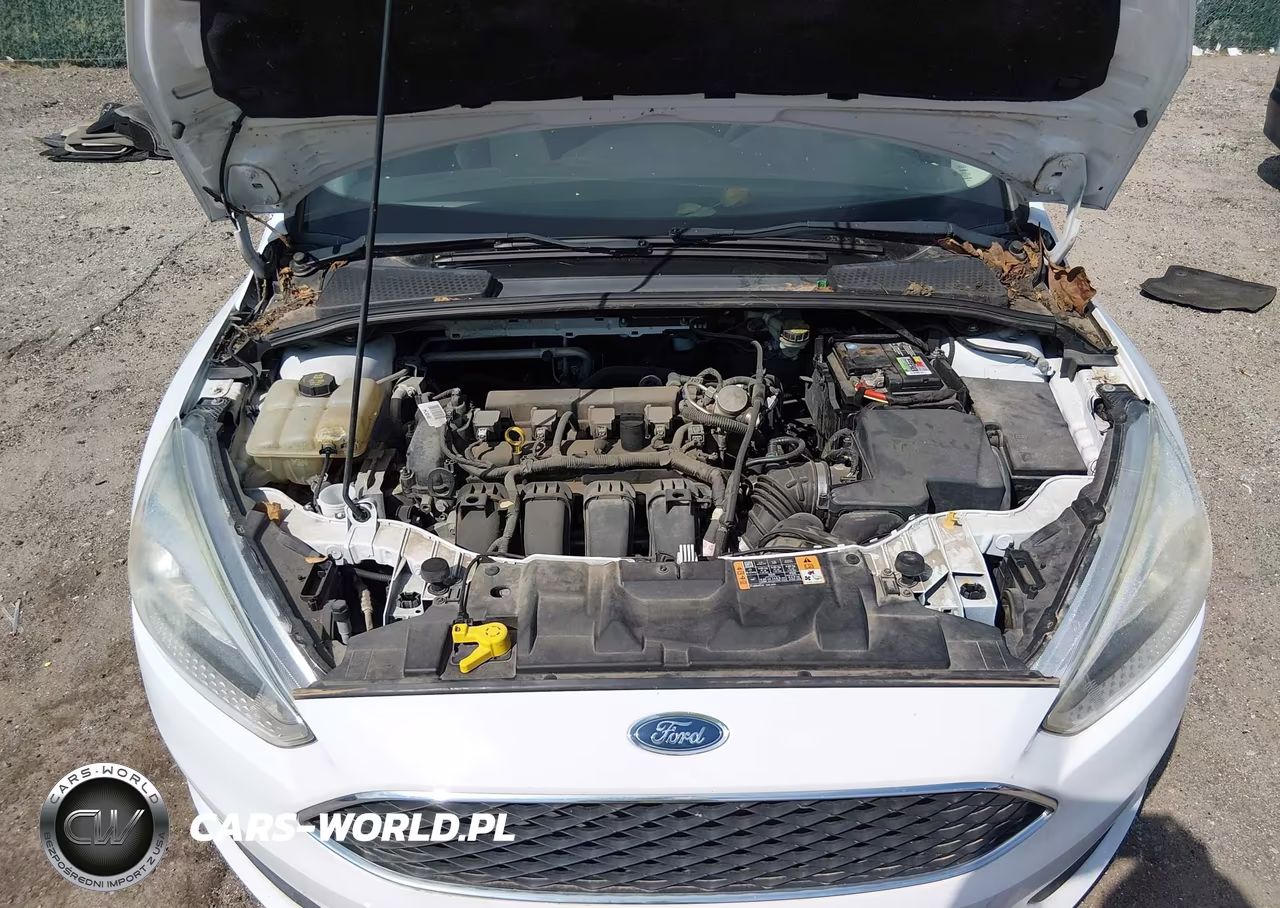 2016 Ford Focus Se VIN:1FADP3F24GL373144 - 10