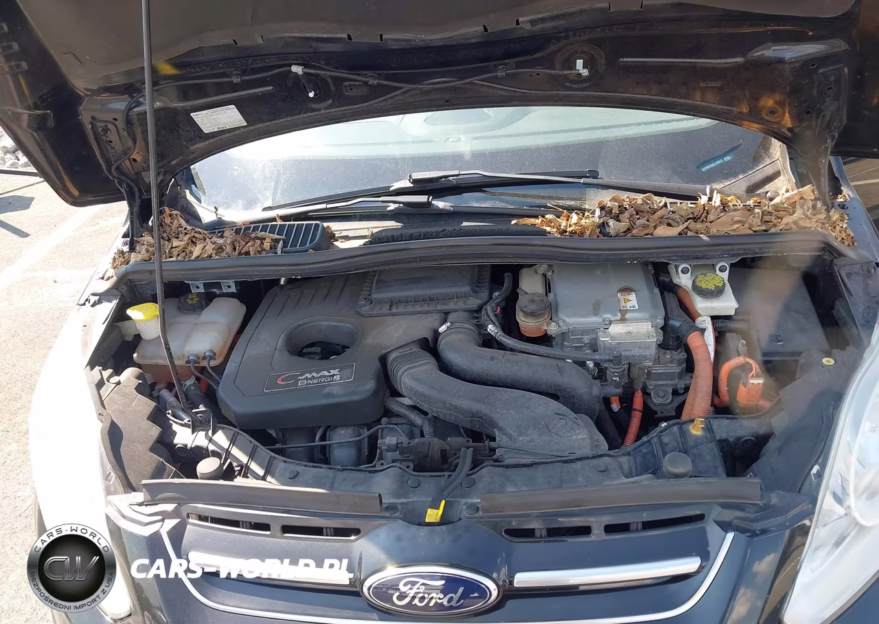 2016 Ford C-Max Energi Sel VIN:1FADP5CU3GL120012 - 10