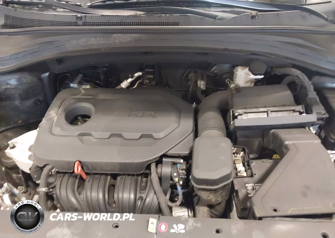 2019 Hyundai Santa Fe Limited VIN:5NMS5CAD9KH012504 - 10