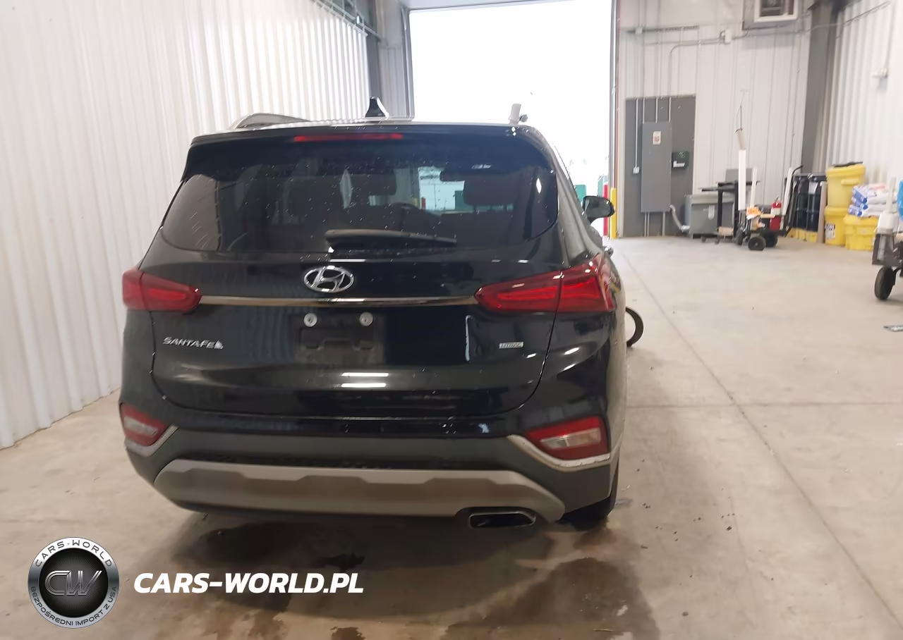 2019 Hyundai Santa Fe Limited VIN:5NMS5CAD9KH012504 - 17