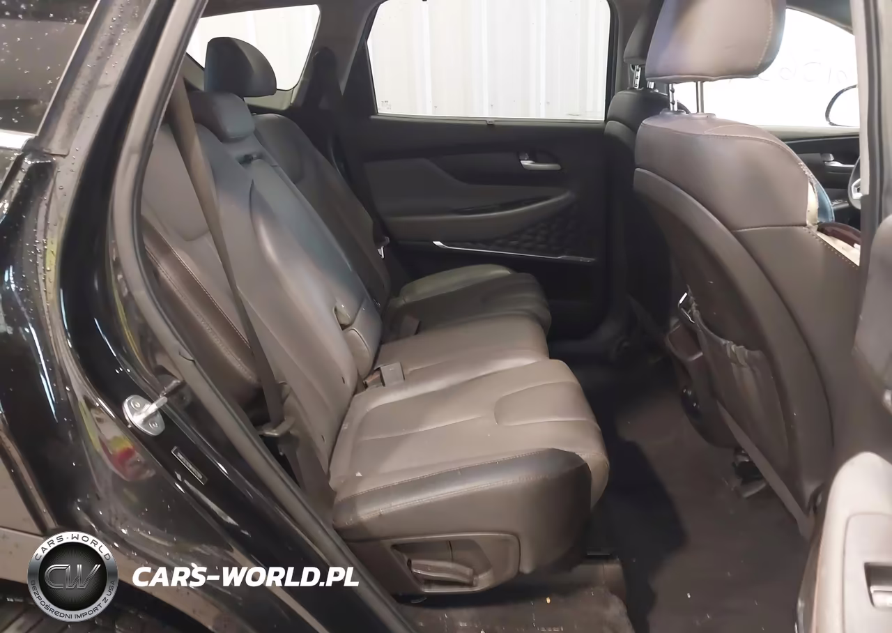 2019 Hyundai Santa Fe Limited VIN:5NMS5CAD9KH012504 - 8