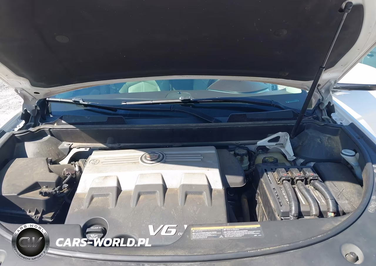 2010 Cadillac Srx Premium Collection VIN:3GYFNFEY5AS603818 - 10
