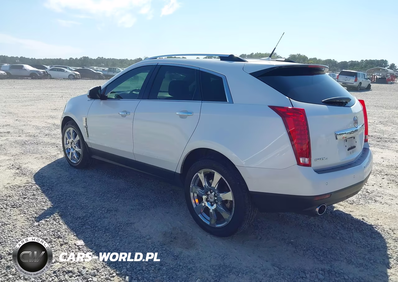 2010 Cadillac Srx Premium Collection VIN:3GYFNFEY5AS603818 - 3