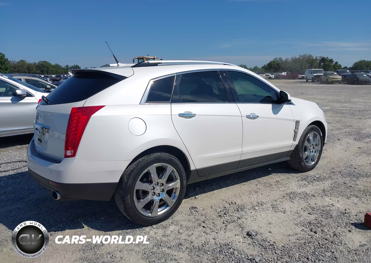 2010 Cadillac Srx Premium Collection VIN:3GYFNFEY5AS603818 - 4