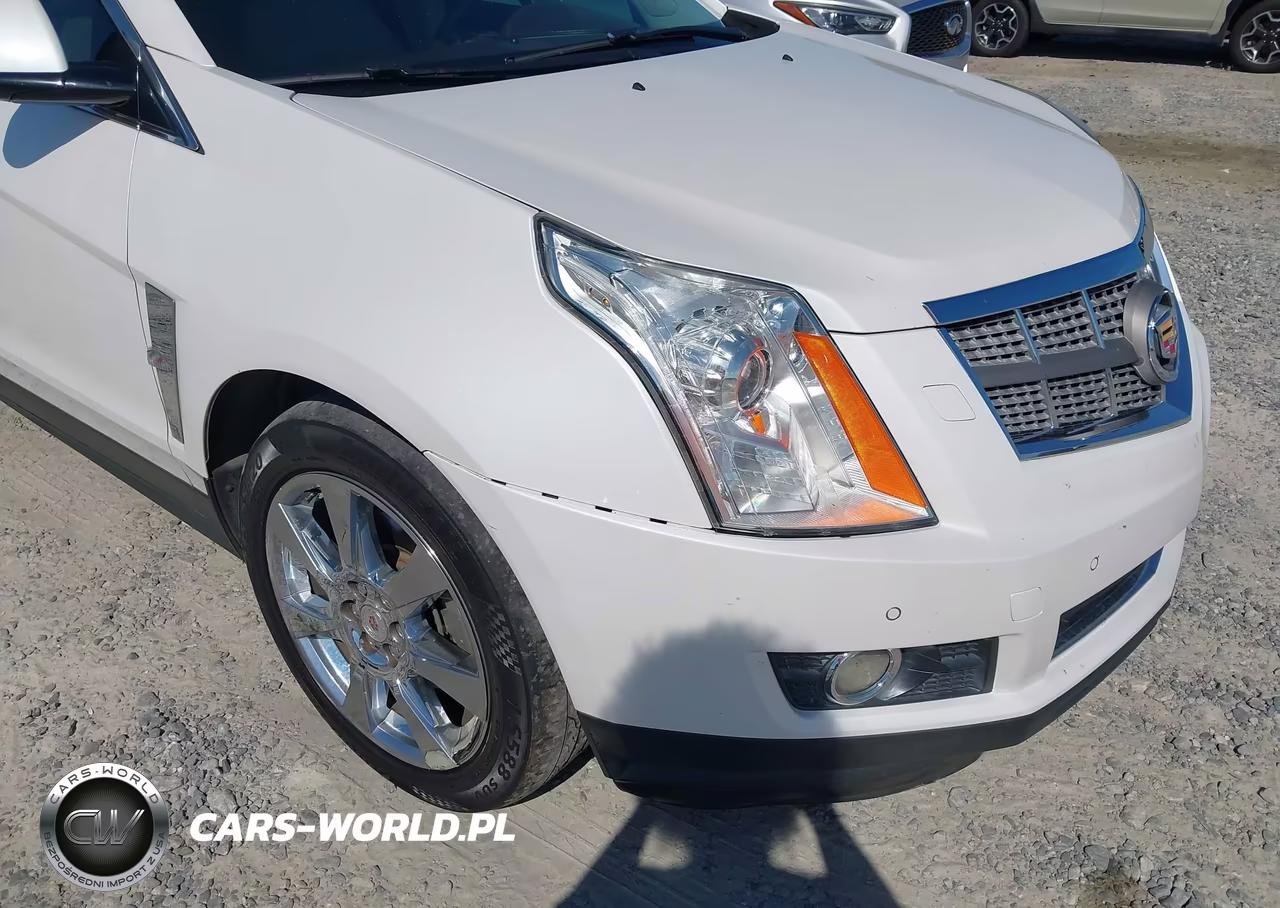 2010 Cadillac Srx Premium Collection VIN:3GYFNFEY5AS603818 - 6