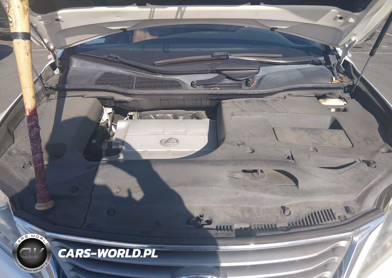 2015 Lexus Rx 350 VIN:2T2ZK1BA6FC167891 - 10