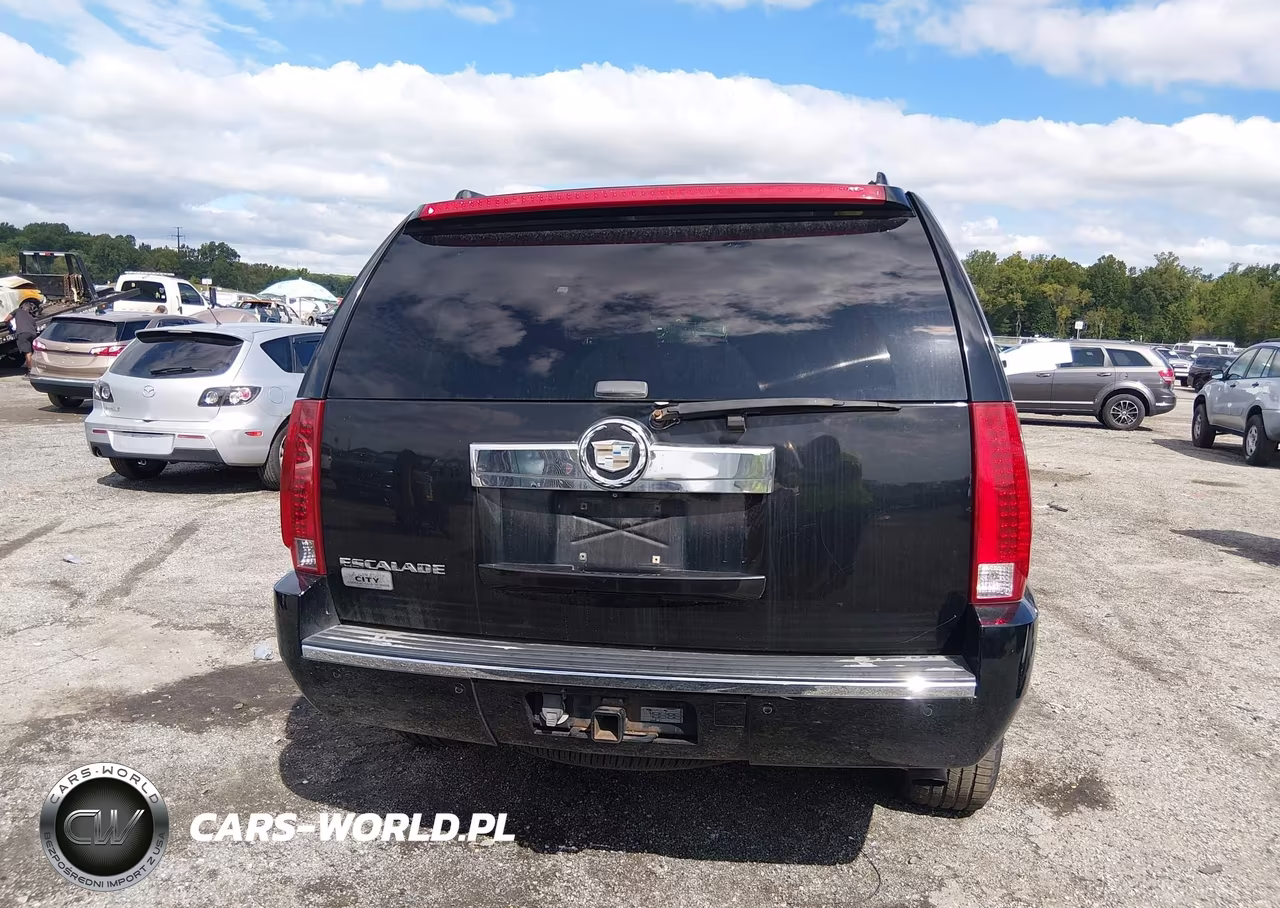 2007 Cadillac Escalade Standard VIN:1GYFK63867R355005 - 12