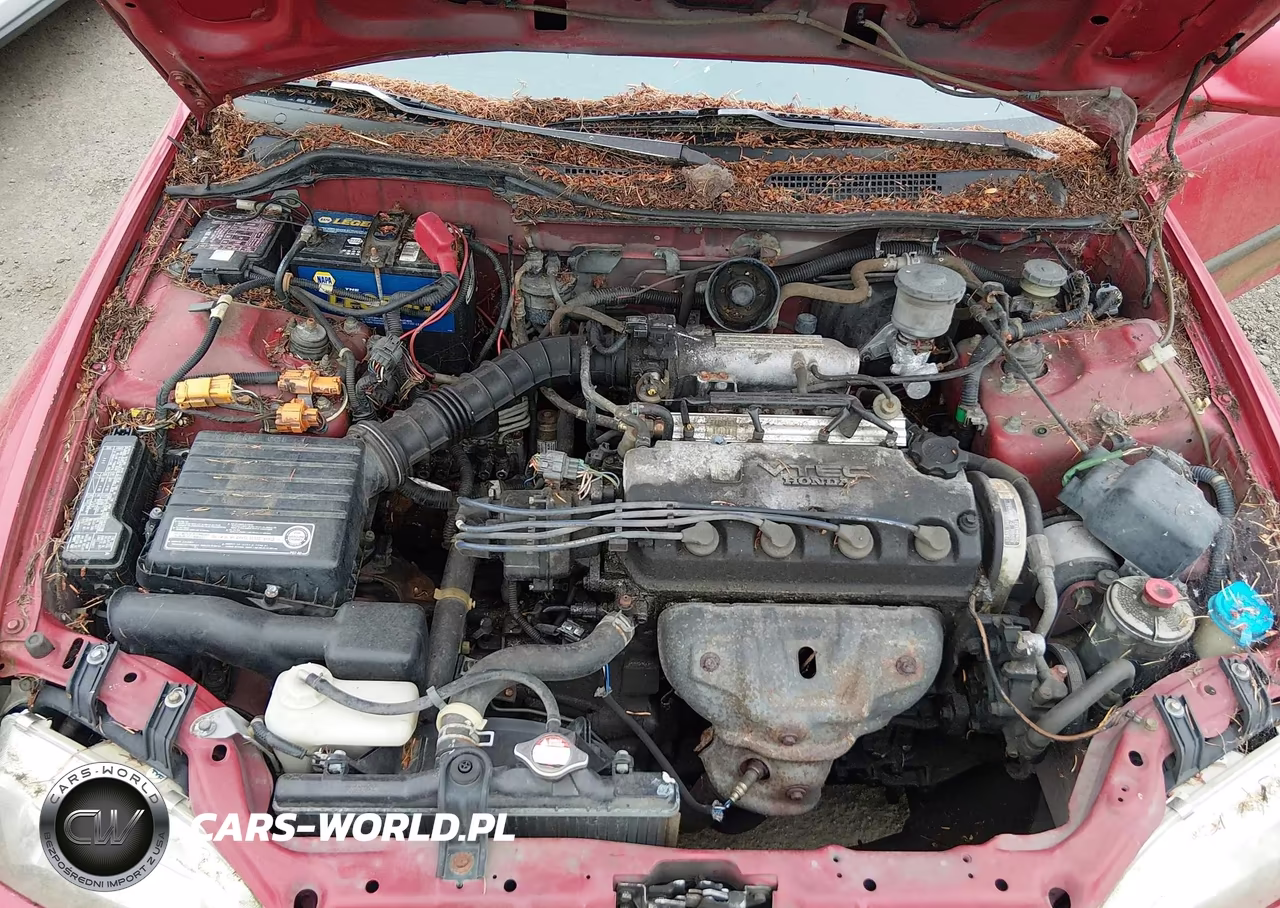 1994 Honda Civic Ex VIN:2HGEJ1133RH556587 - 10