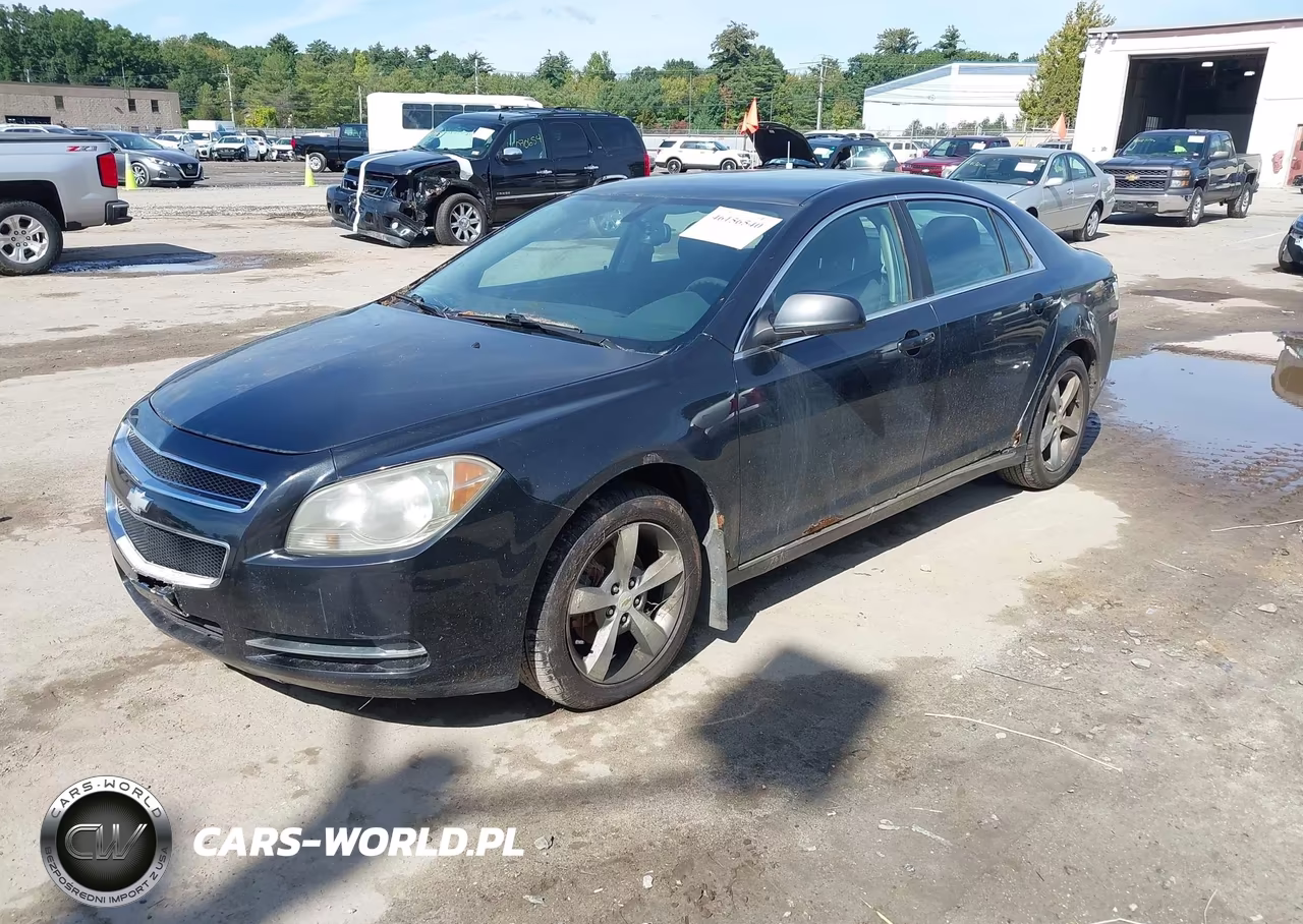 2011 Chevrolet Malibu 1Lt VIN:1G1ZC5E1XBF200339 - 2