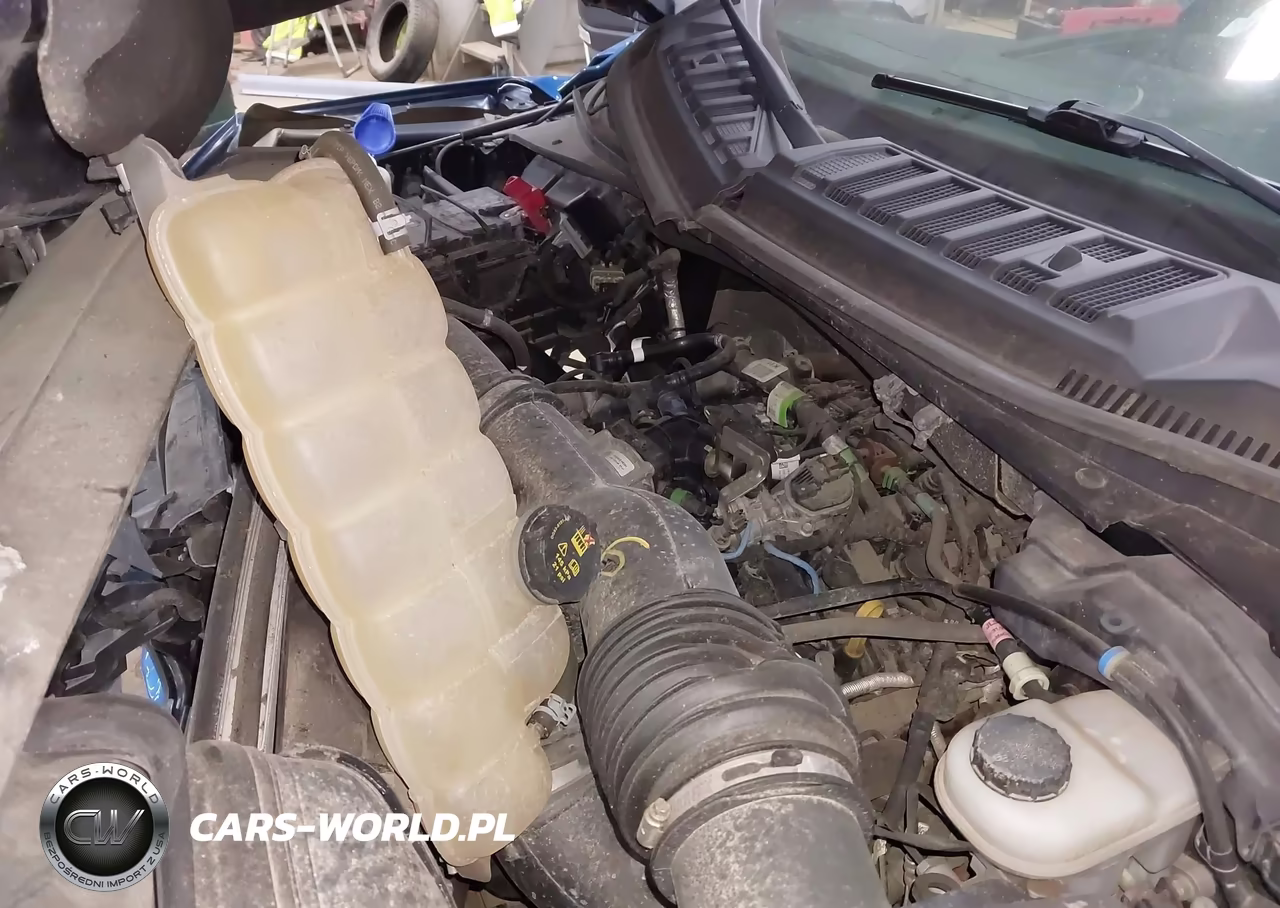 2019 Ford F-150 Xlt VIN:1FTEW1EP2KFA11209 - 10