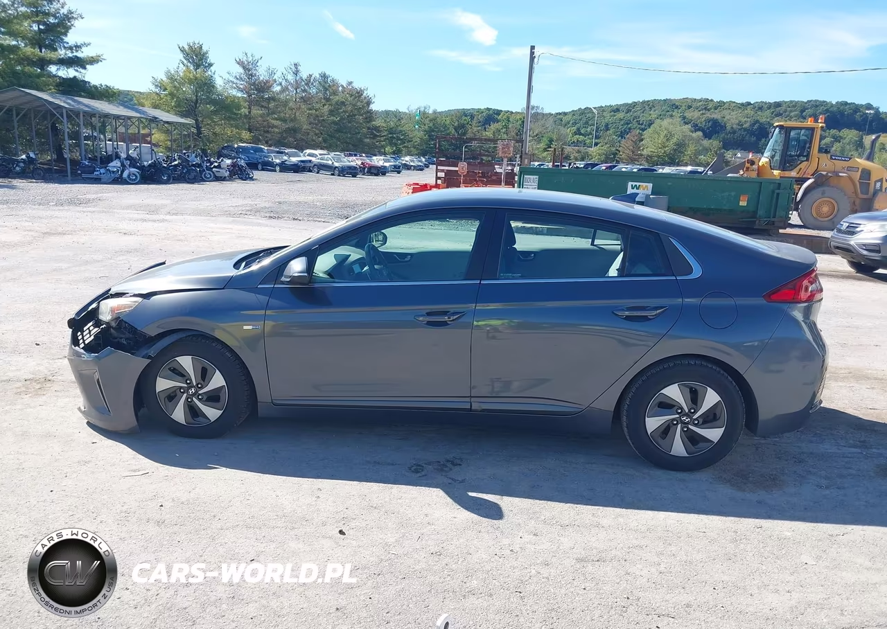 2018 Hyundai Ioniq Hybrid Sel VIN:KMHC75LC9JU096325 - 15