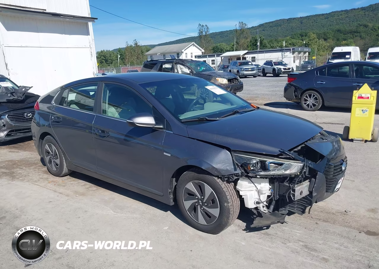 2018 Hyundai Ioniq Hybrid Sel VIN:KMHC75LC9JU096325 - 18