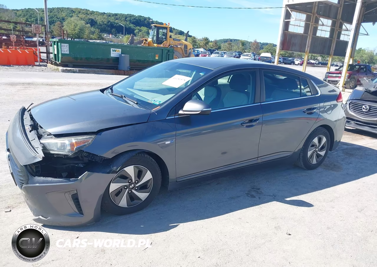 2018 Hyundai Ioniq Hybrid Sel VIN:KMHC75LC9JU096325 - 19