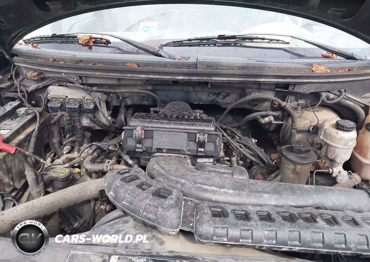 2006 Ford F-150 Fx4-Lariat-Xl-Xlt VIN:1FTPX14V86NB59138 - 10