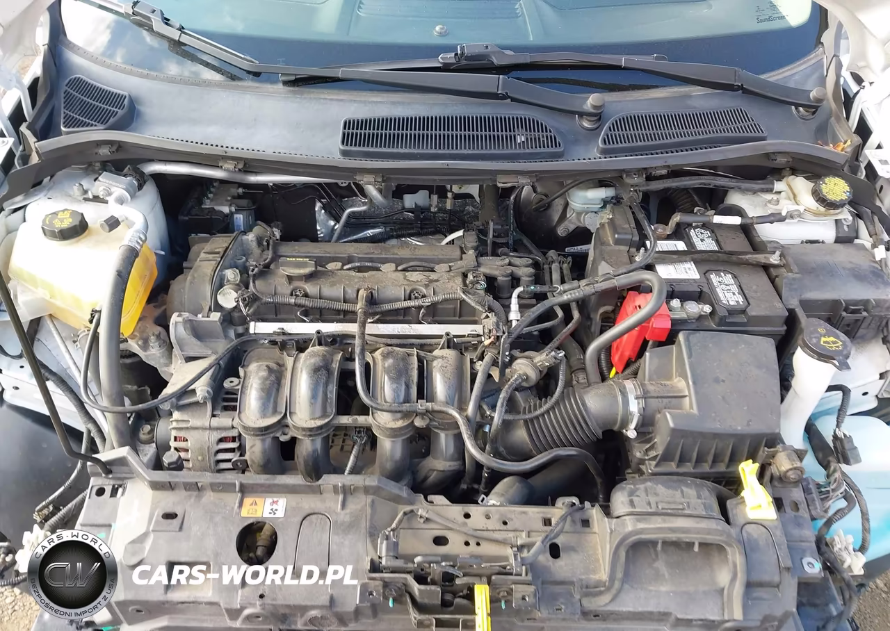 2014 Ford Fiesta Se VIN:3FADP4EJ7EM217061 - 10
