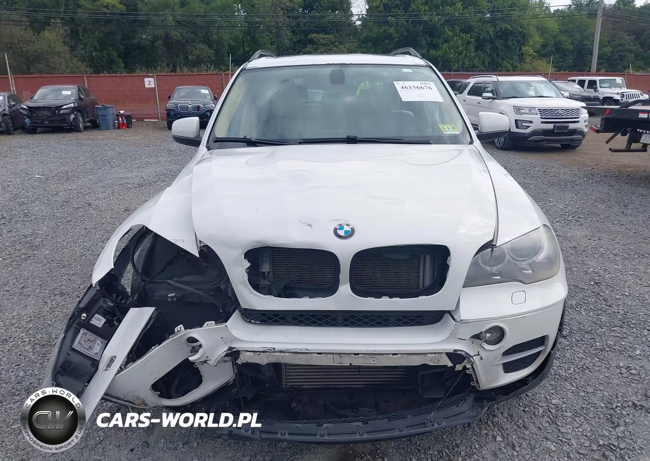 2013 BMW X5 xDrive35I-xDrive35I Premium-xDrive35I Sport Activity VIN:5UXZV4C51D0G54021 - 12