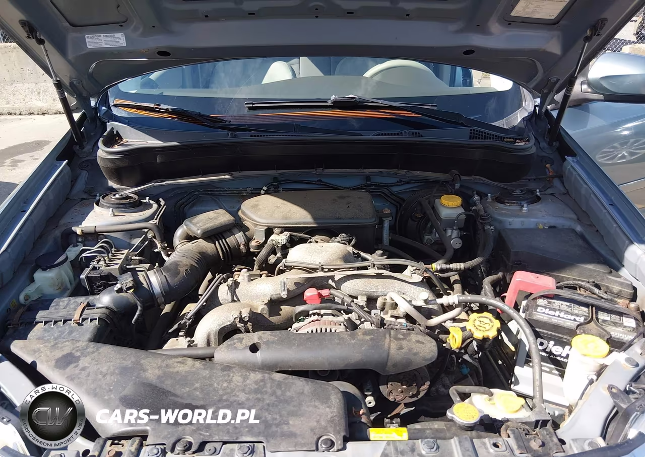 2010 Subaru Forester 2.5X Premium VIN:JF2SH6CC0AH909144 - 10