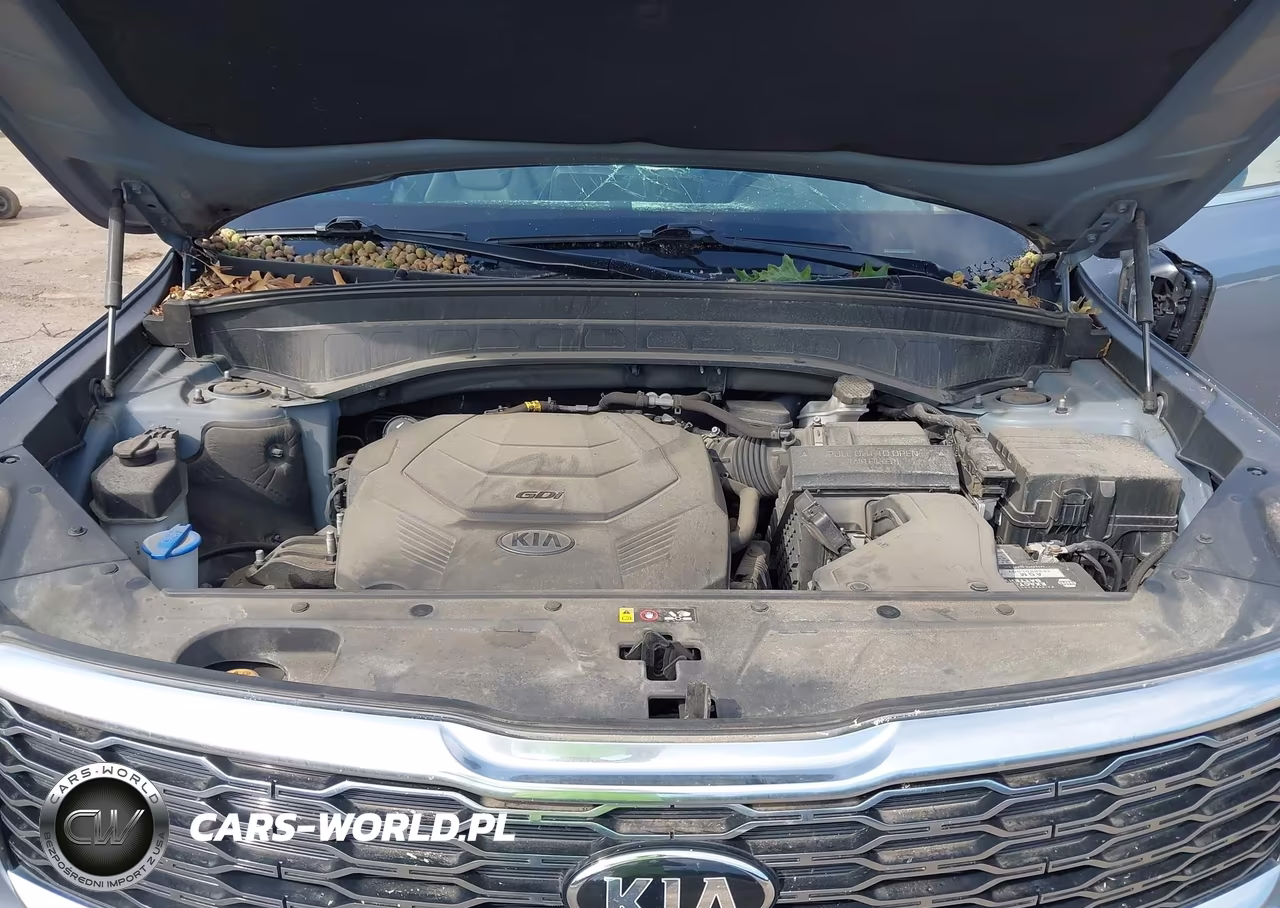 2020 Kia Telluride S VIN:5XYP6DHCXLG079307 - 10