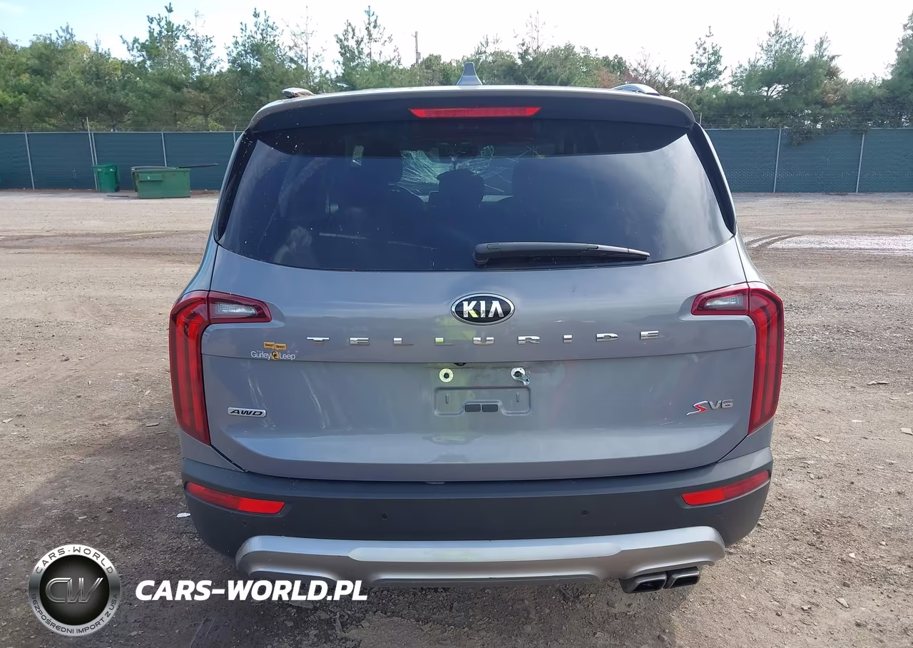 2020 Kia Telluride S VIN:5XYP6DHCXLG079307 - 17