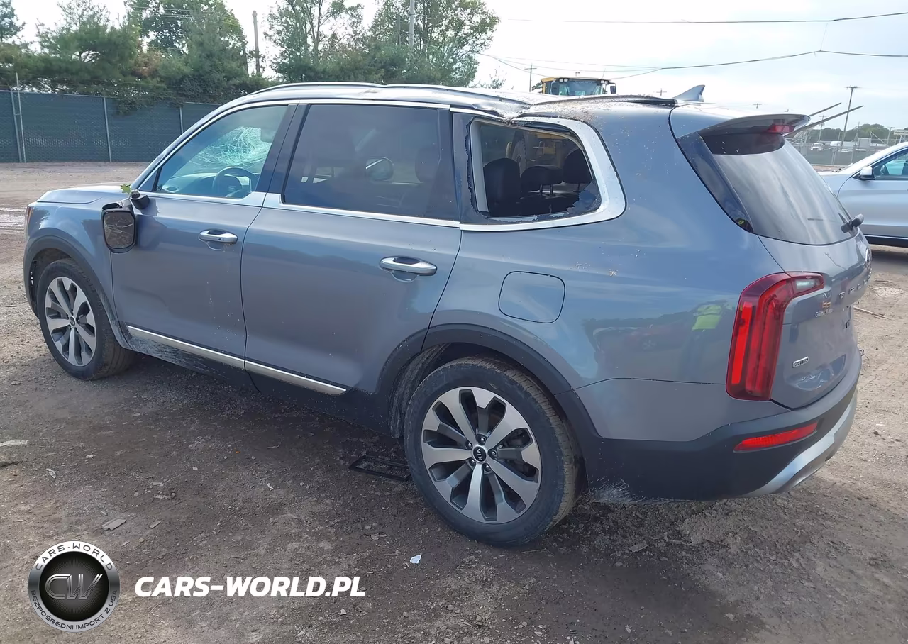 2020 Kia Telluride S VIN:5XYP6DHCXLG079307 - 3