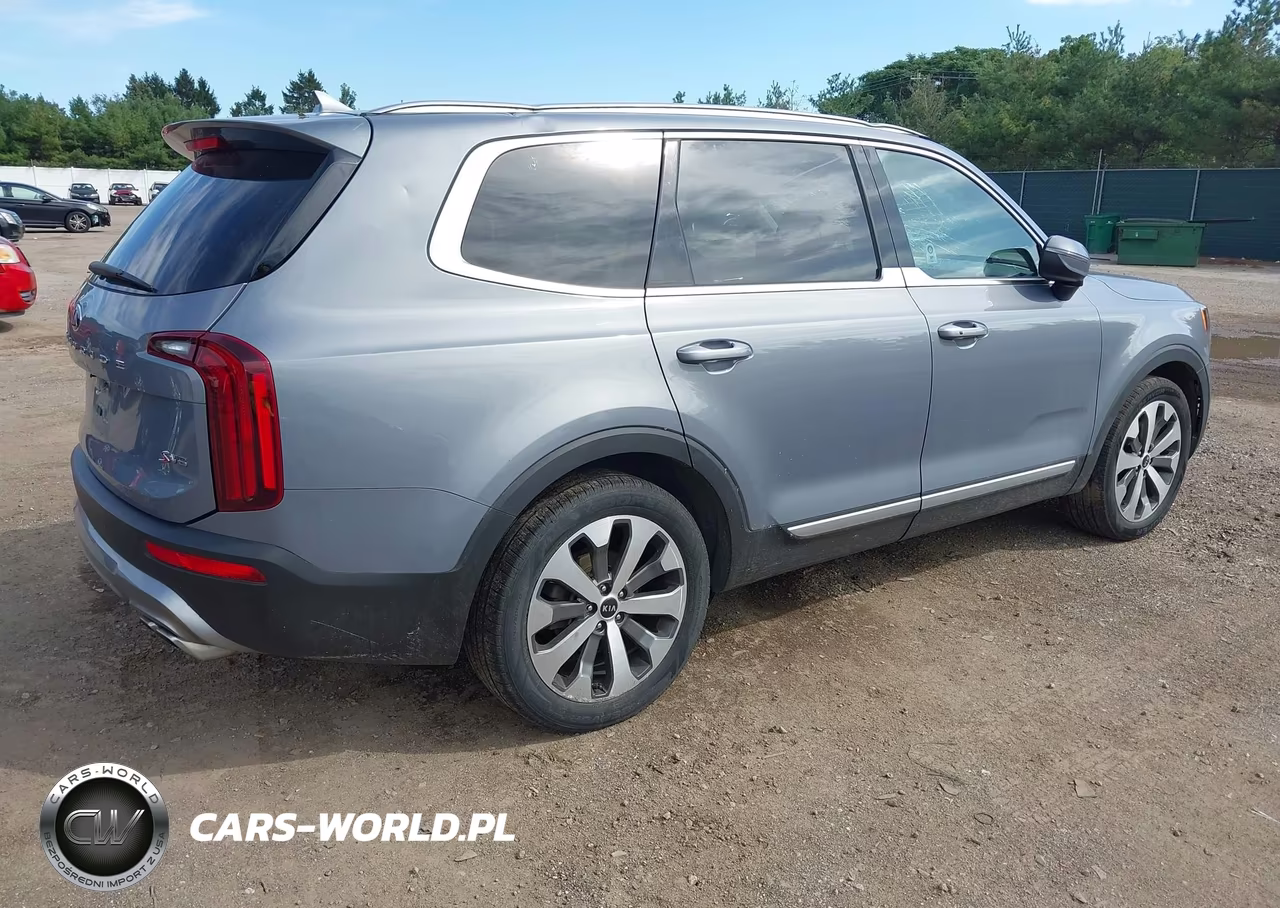 2020 Kia Telluride S VIN:5XYP6DHCXLG079307 - 4