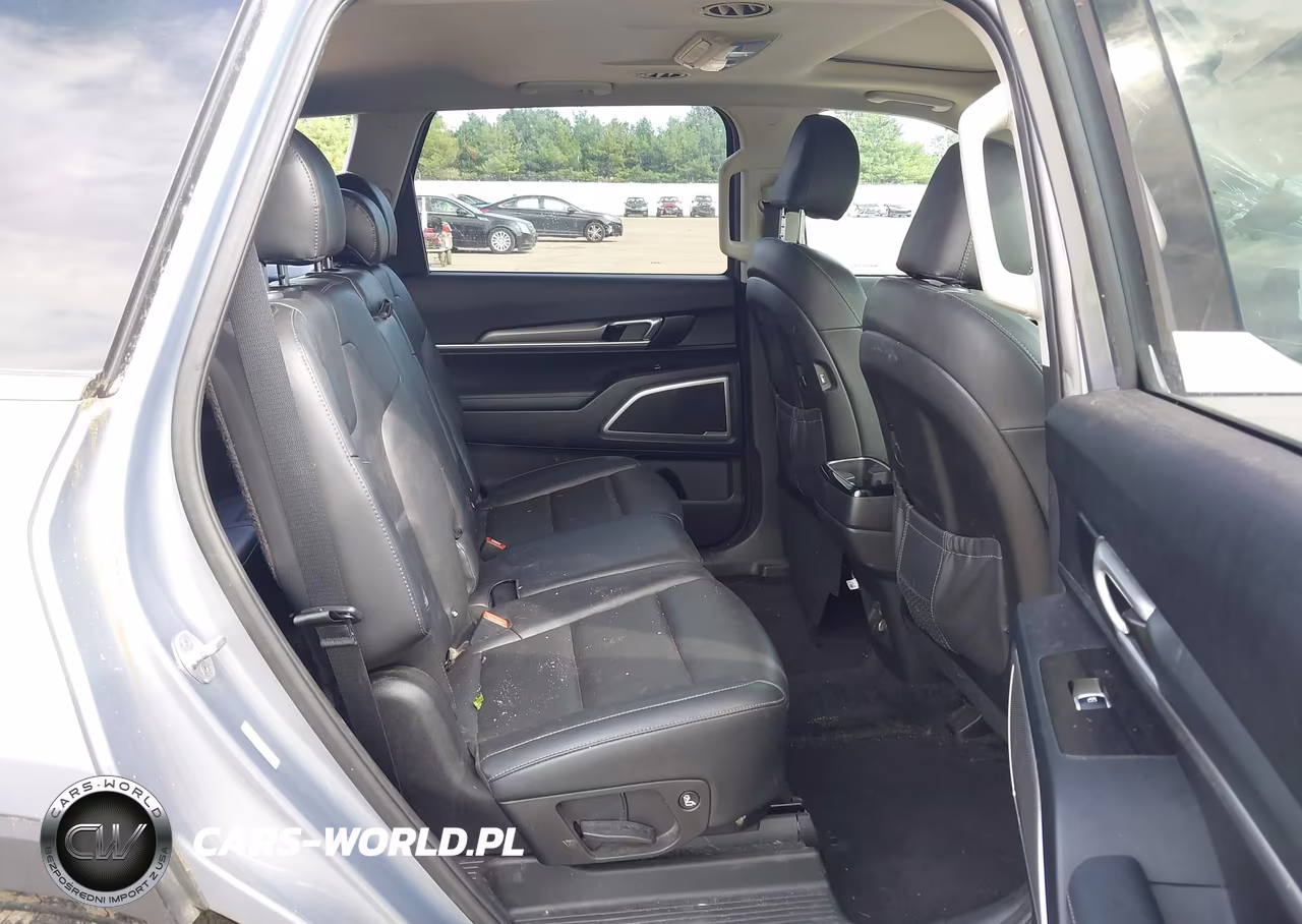 2020 Kia Telluride S VIN:5XYP6DHCXLG079307 - 8