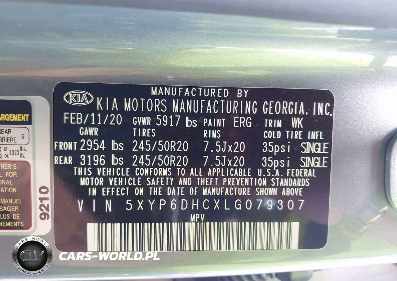2020 Kia Telluride S VIN:5XYP6DHCXLG079307 - 9