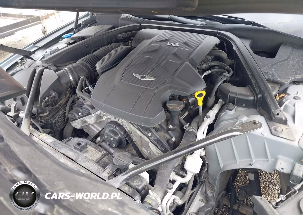 2017 Genesis G80 3.8 VIN:KMHGN4JE8HU209987 - 10