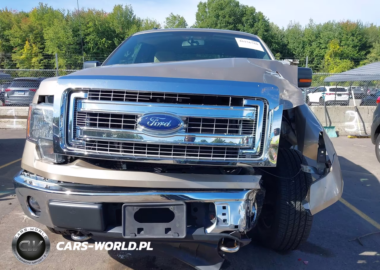 2014 Ford F-150 Xlt VIN:1FTEX1EM1EFA46413 - 12