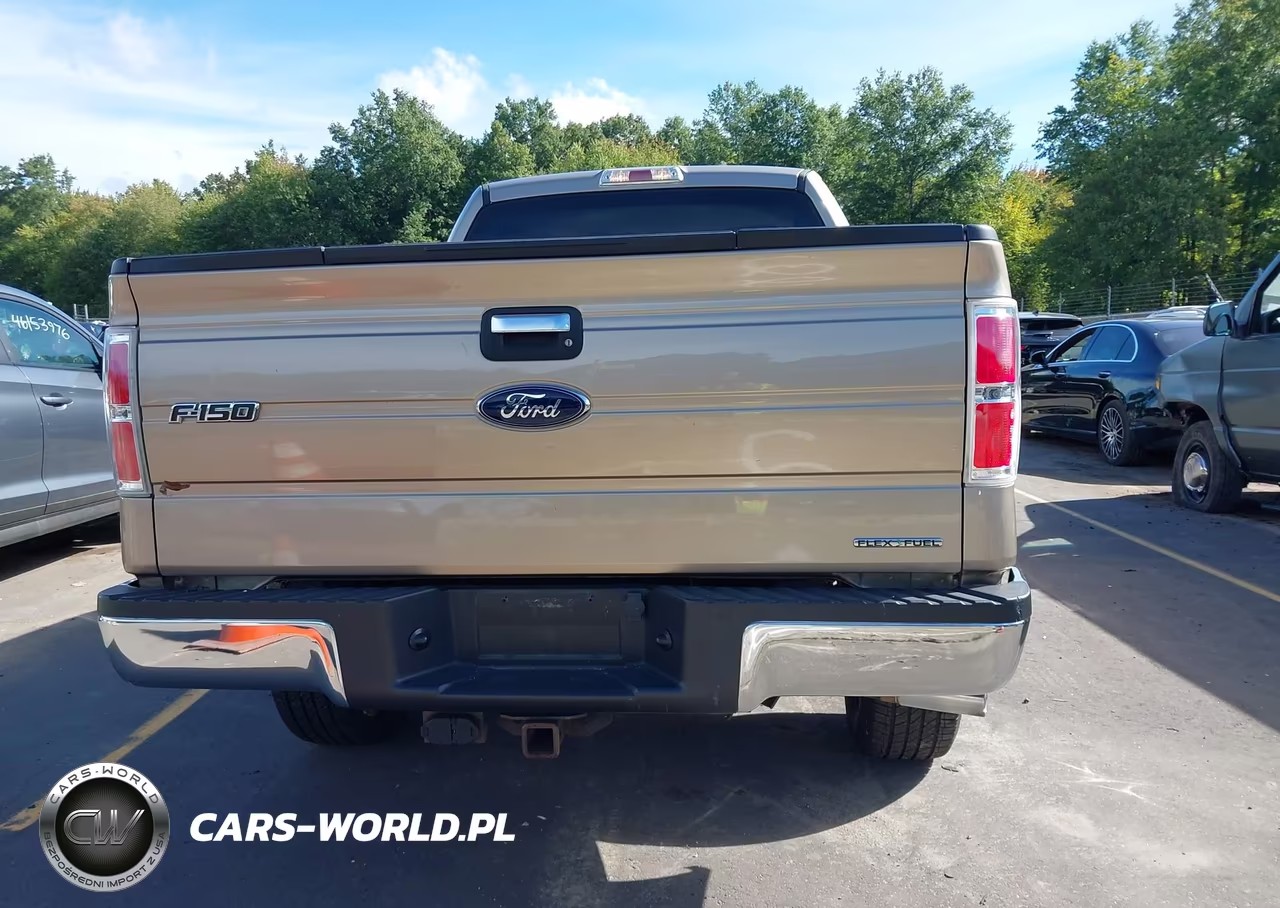 2014 Ford F-150 Xlt VIN:1FTEX1EM1EFA46413 - 16