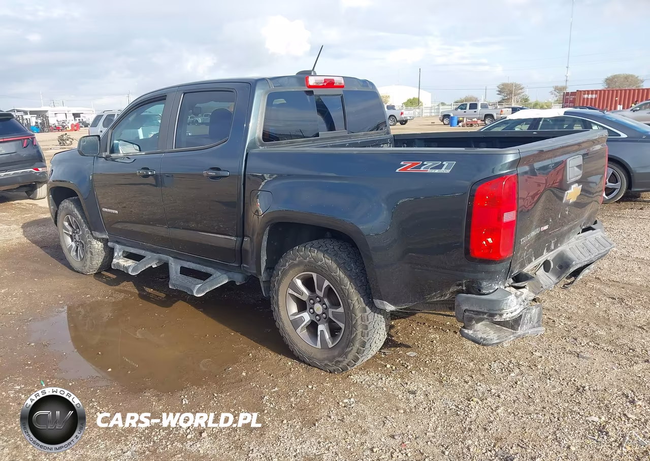 2017 Chevrolet Colorado Z71 VIN:1GCGTDEN7H1328944 - 3