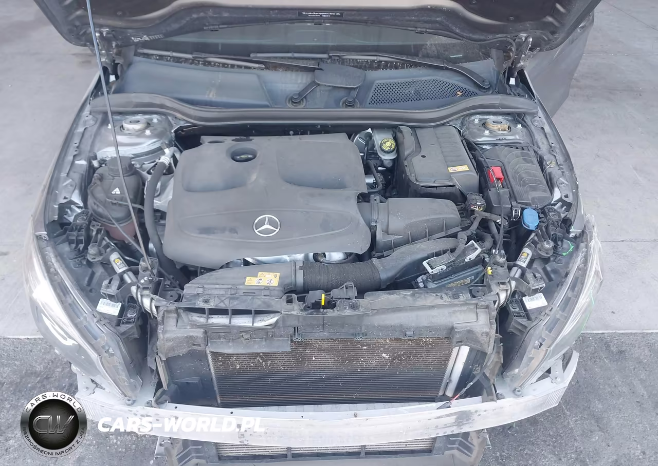 2015 Mercedes-Benz Cla 250 VIN:WDDSJ4EB7FN273705 - 10