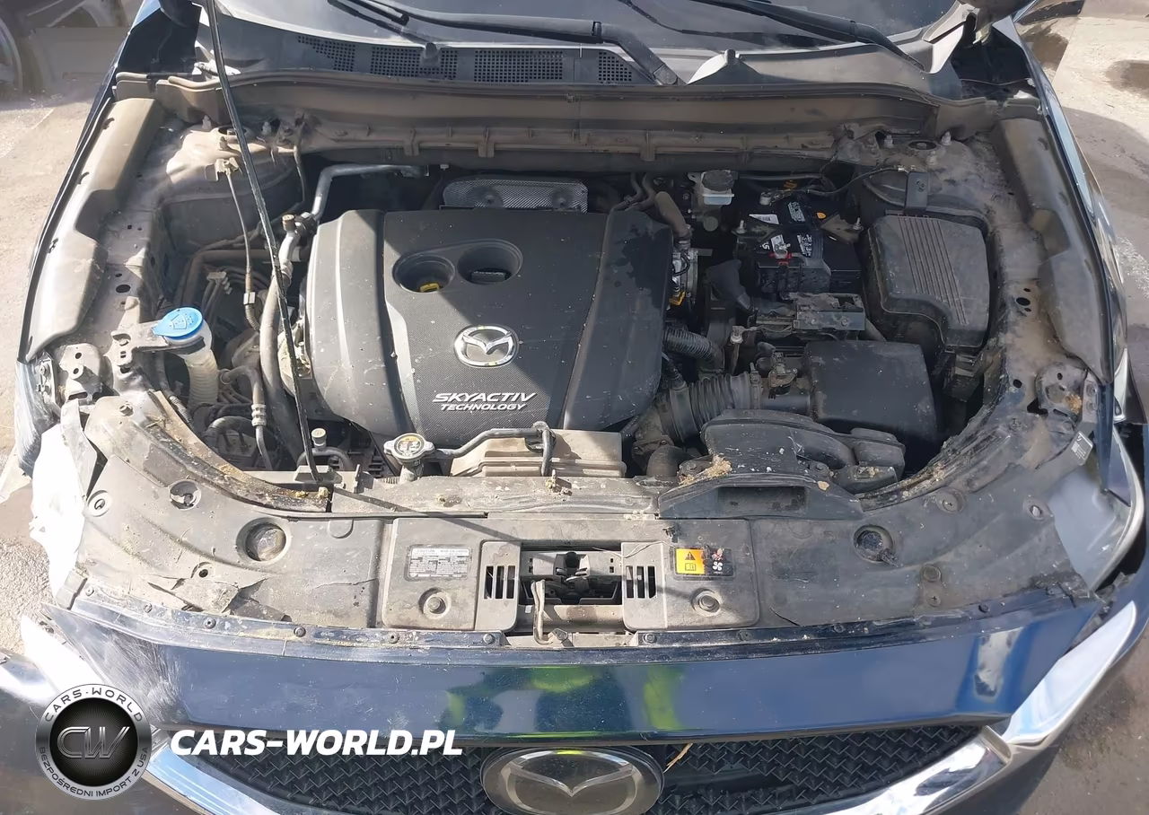 2019 Mazda Cx-5 Touring VIN:JM3KFACM8K0541299 - 10