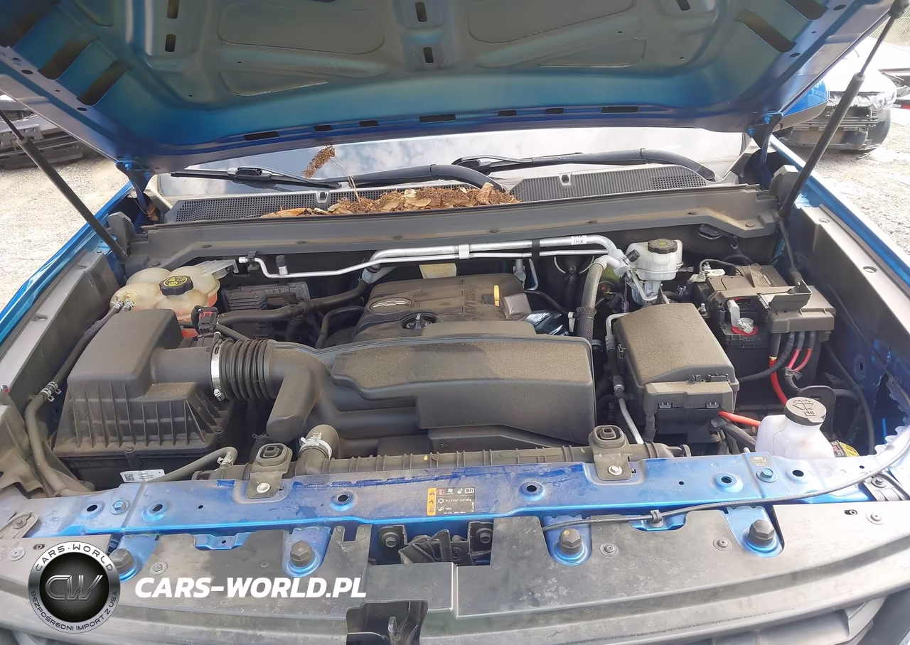 2019 Chevrolet Colorado Wt VIN:1GCGSBEA1K1114379 - 10
