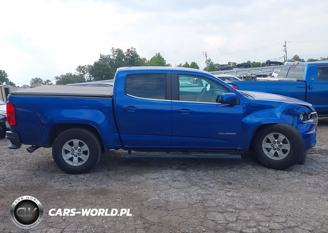 2019 Chevrolet Colorado Wt VIN:1GCGSBEA1K1114379 - 13