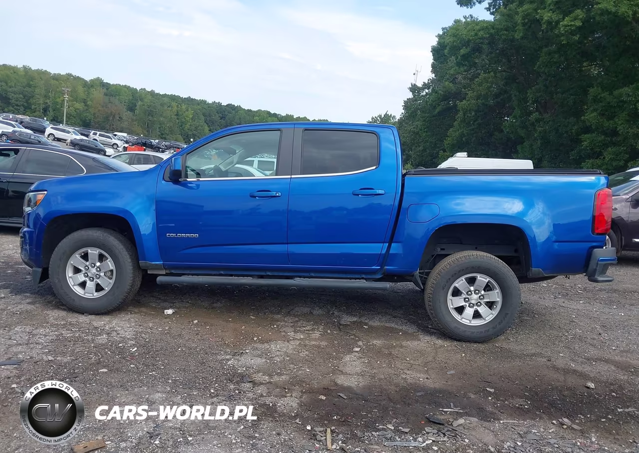 2019 Chevrolet Colorado Wt VIN:1GCGSBEA1K1114379 - 14