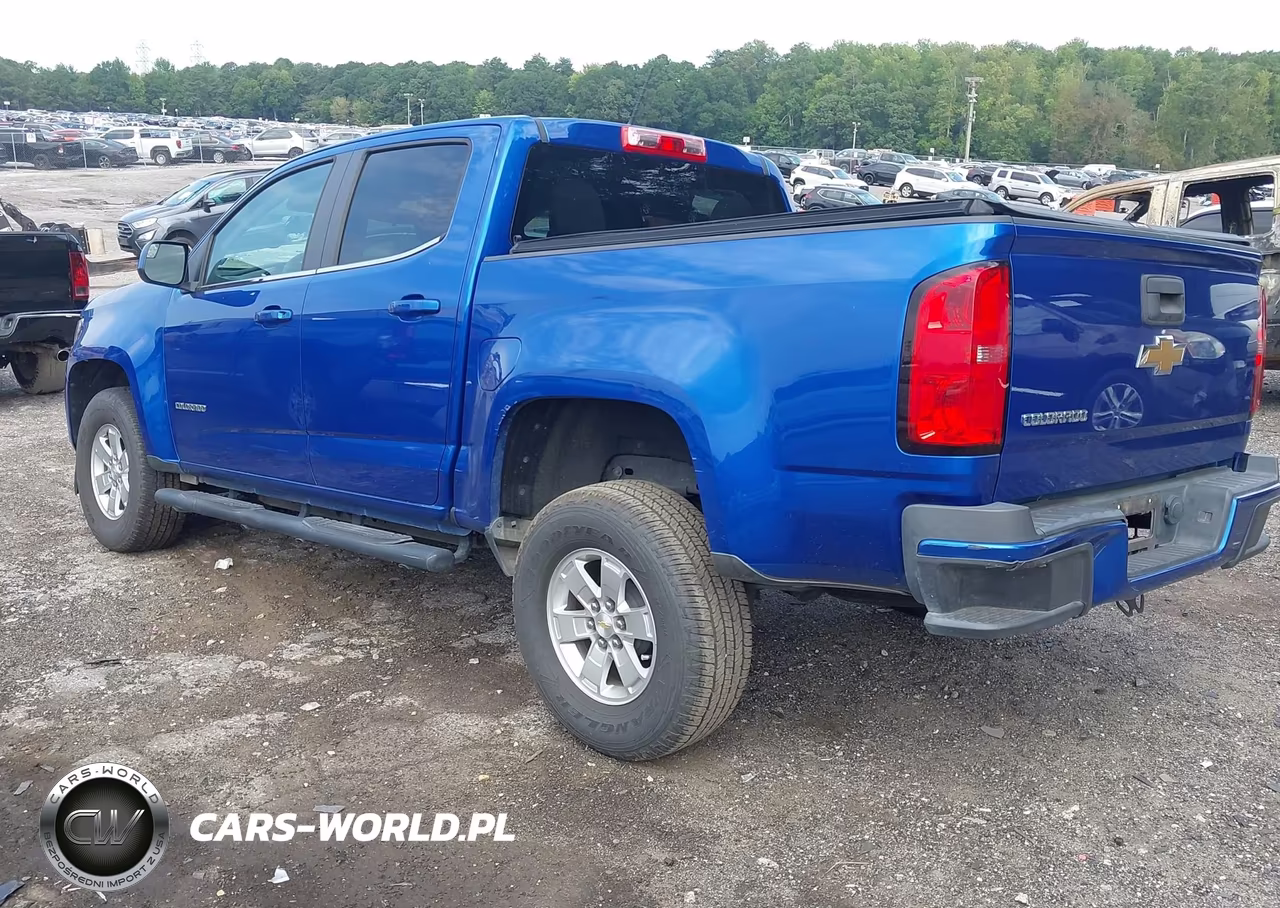 2019 Chevrolet Colorado Wt VIN:1GCGSBEA1K1114379 - 3
