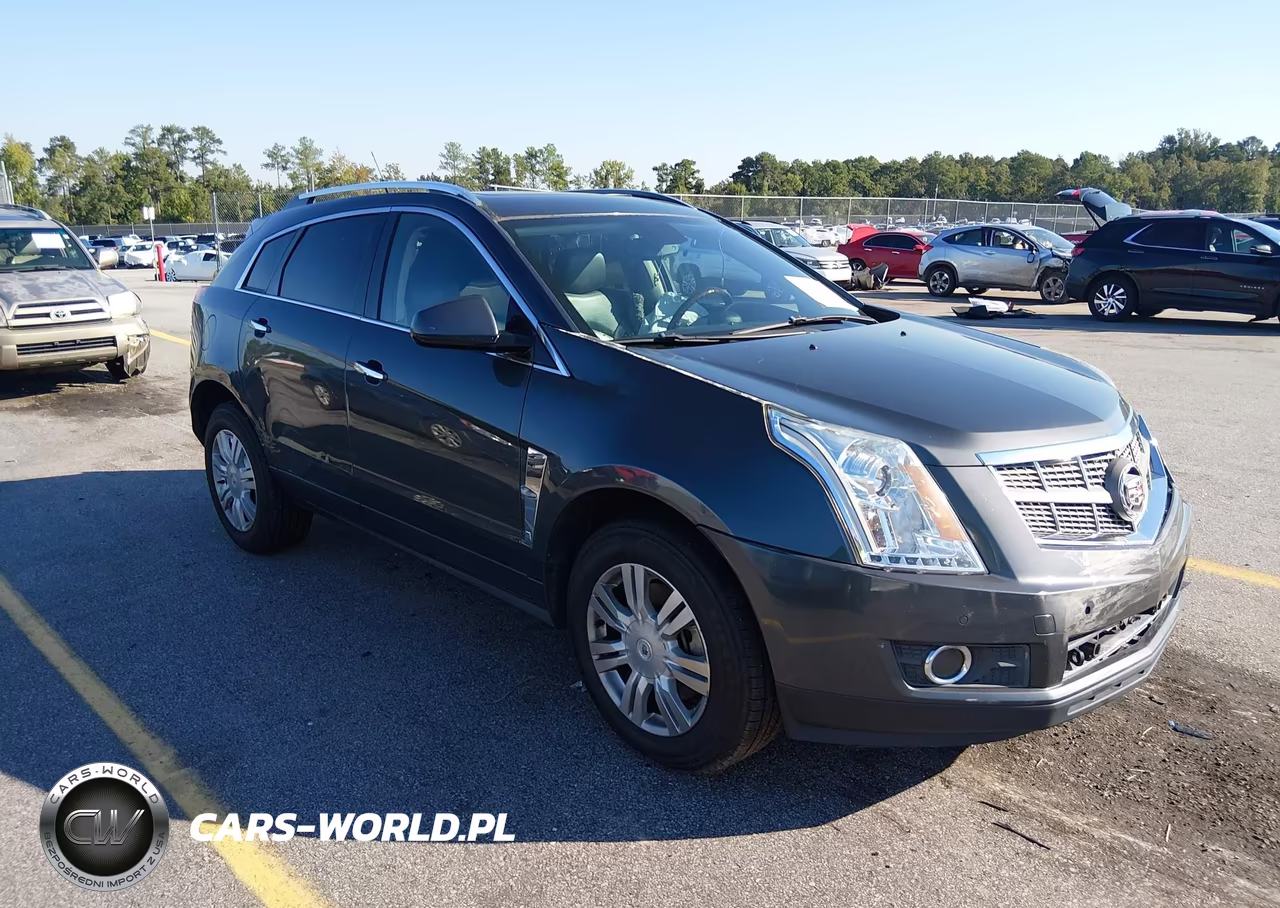 2010 Cadillac Srx Luxury Collection VIN:3GYFNDEYXAS629528 - 1