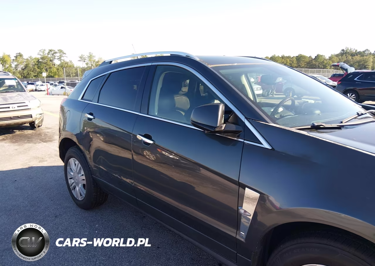 2010 Cadillac Srx Luxury Collection VIN:3GYFNDEYXAS629528 - 12