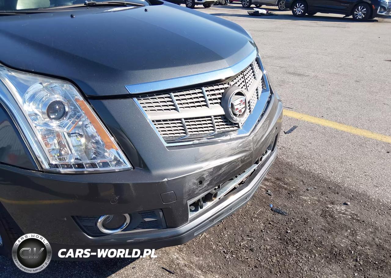 2010 Cadillac Srx Luxury Collection VIN:3GYFNDEYXAS629528 - 13