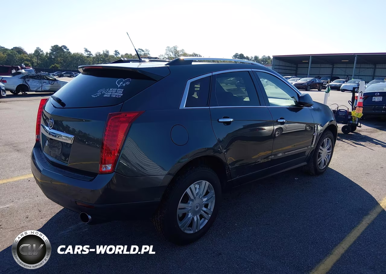 2010 Cadillac Srx Luxury Collection VIN:3GYFNDEYXAS629528 - 4