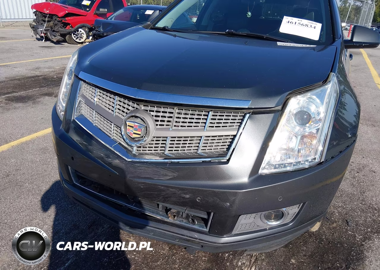 2010 Cadillac Srx Luxury Collection VIN:3GYFNDEYXAS629528 - 6