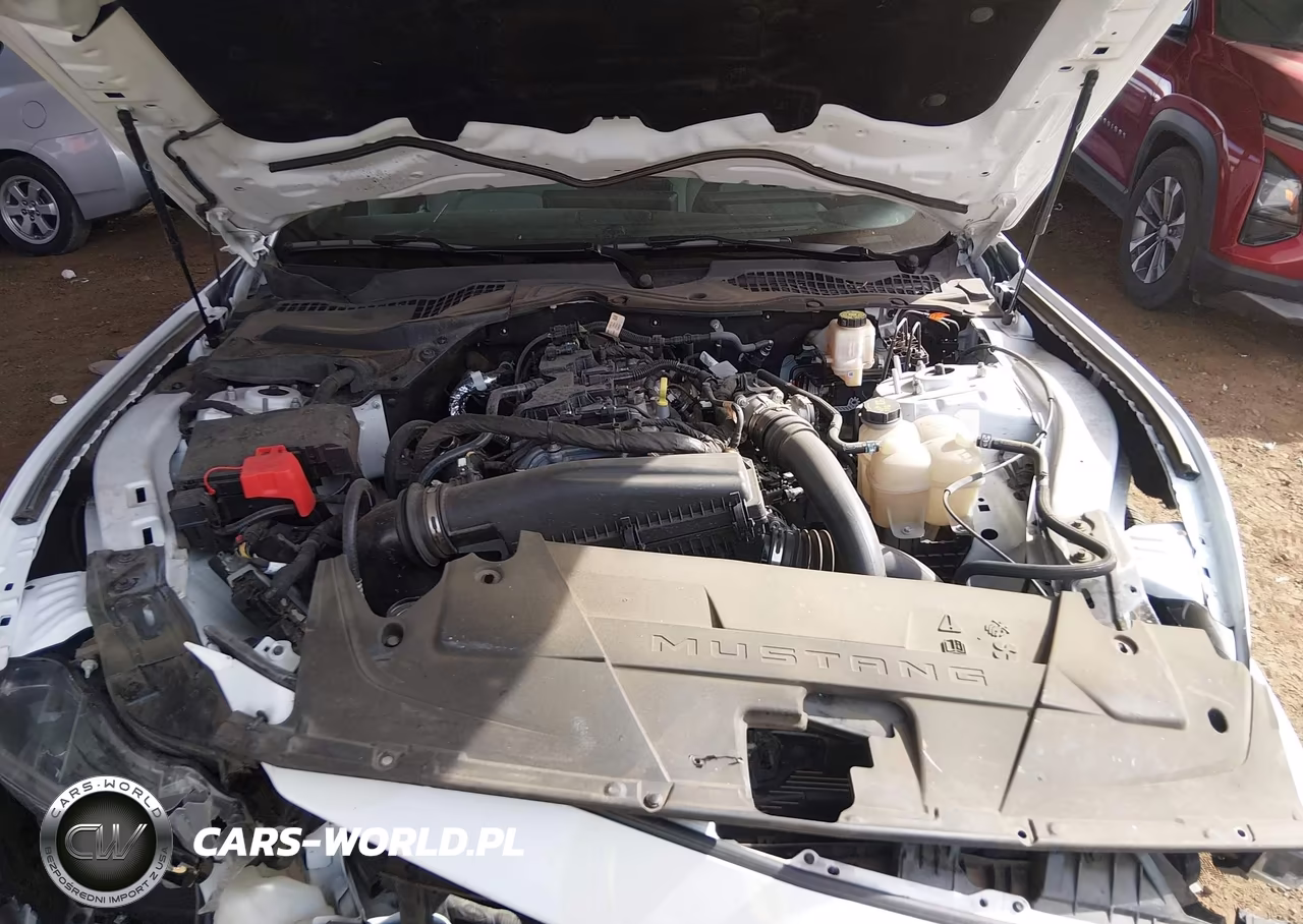 2024 Ford Mustang Ecoboost Fastback VIN:1FA6P8TH3R5111248 - 10