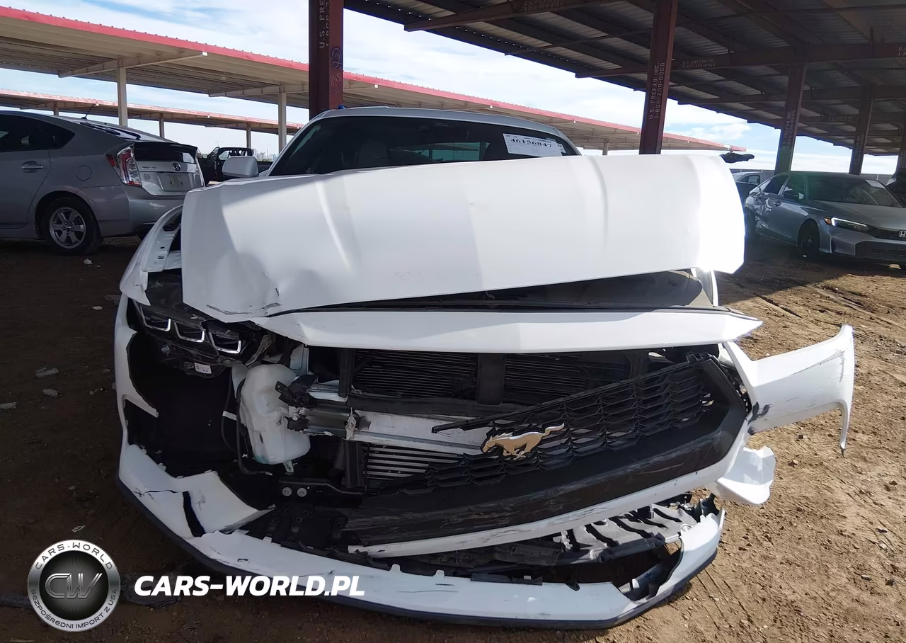 2024 Ford Mustang Ecoboost Fastback VIN:1FA6P8TH3R5111248 - 12