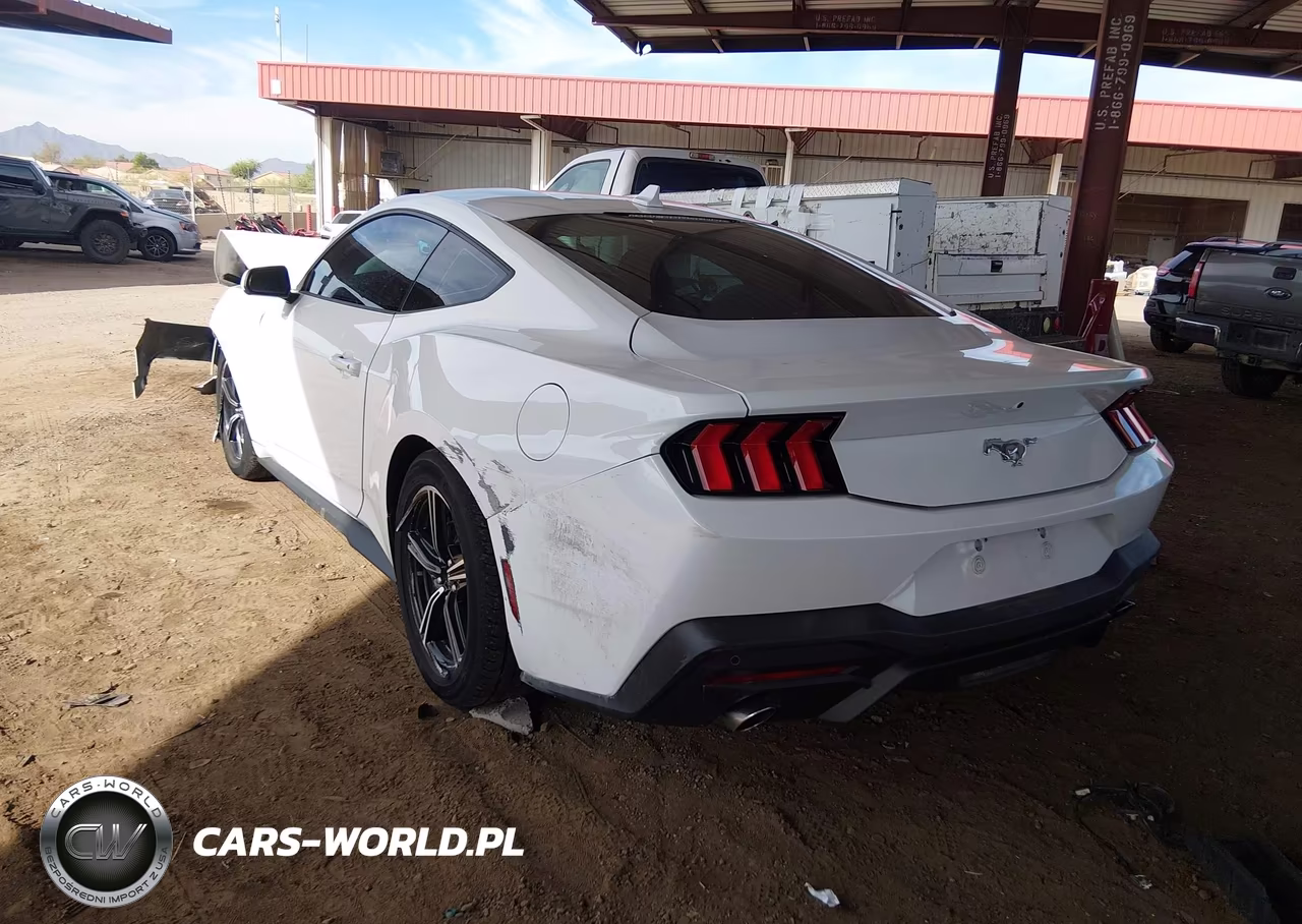 2024 Ford Mustang Ecoboost Fastback VIN:1FA6P8TH3R5111248 - 3