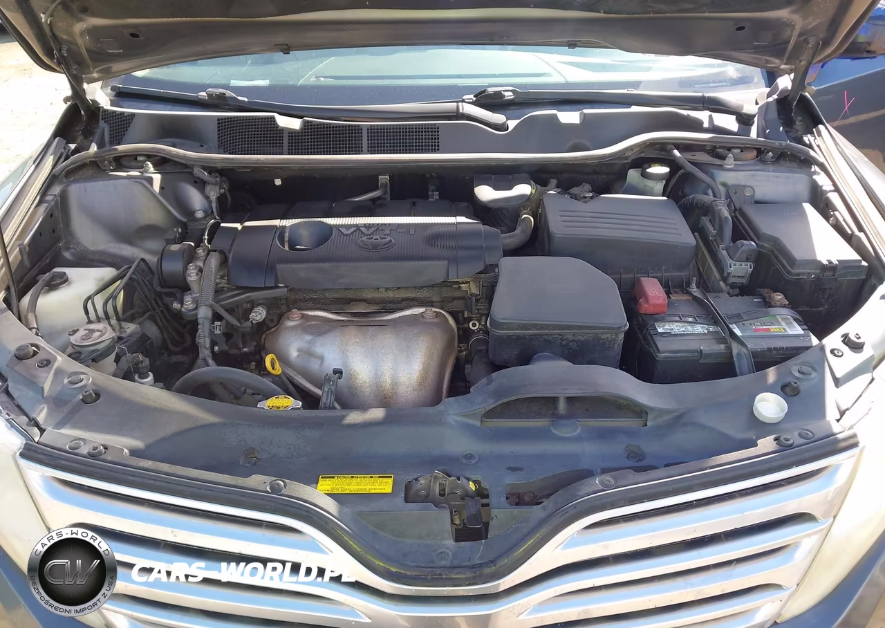 2010 Toyota Venza VIN:4T3ZA3BB2AU031977 - 10