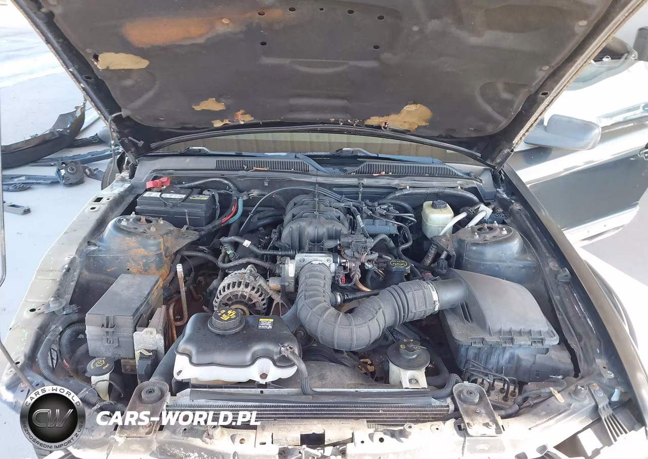 2006 Ford Mustang V6 VIN:1ZVFT80N165260041 - 10