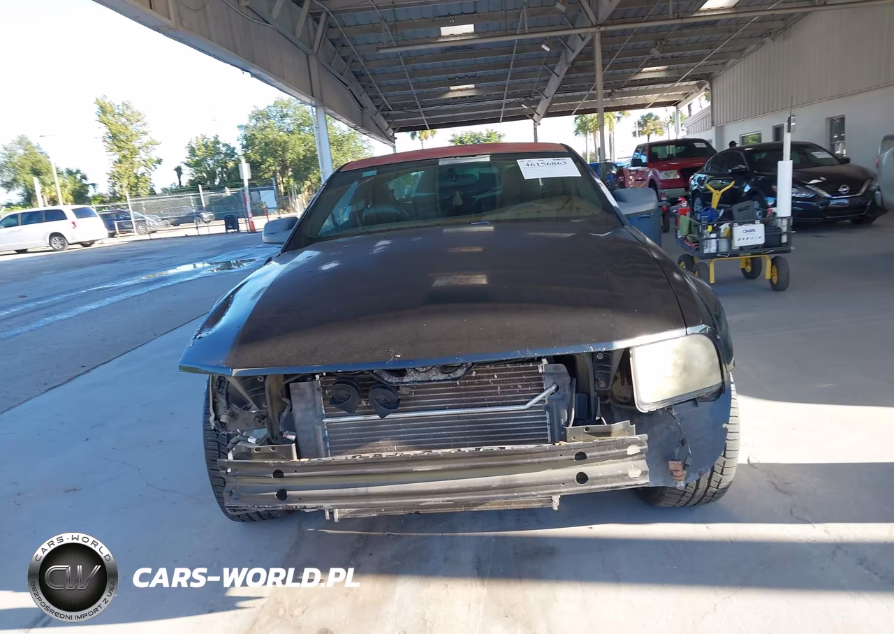 2006 Ford Mustang V6 VIN:1ZVFT80N165260041 - 13