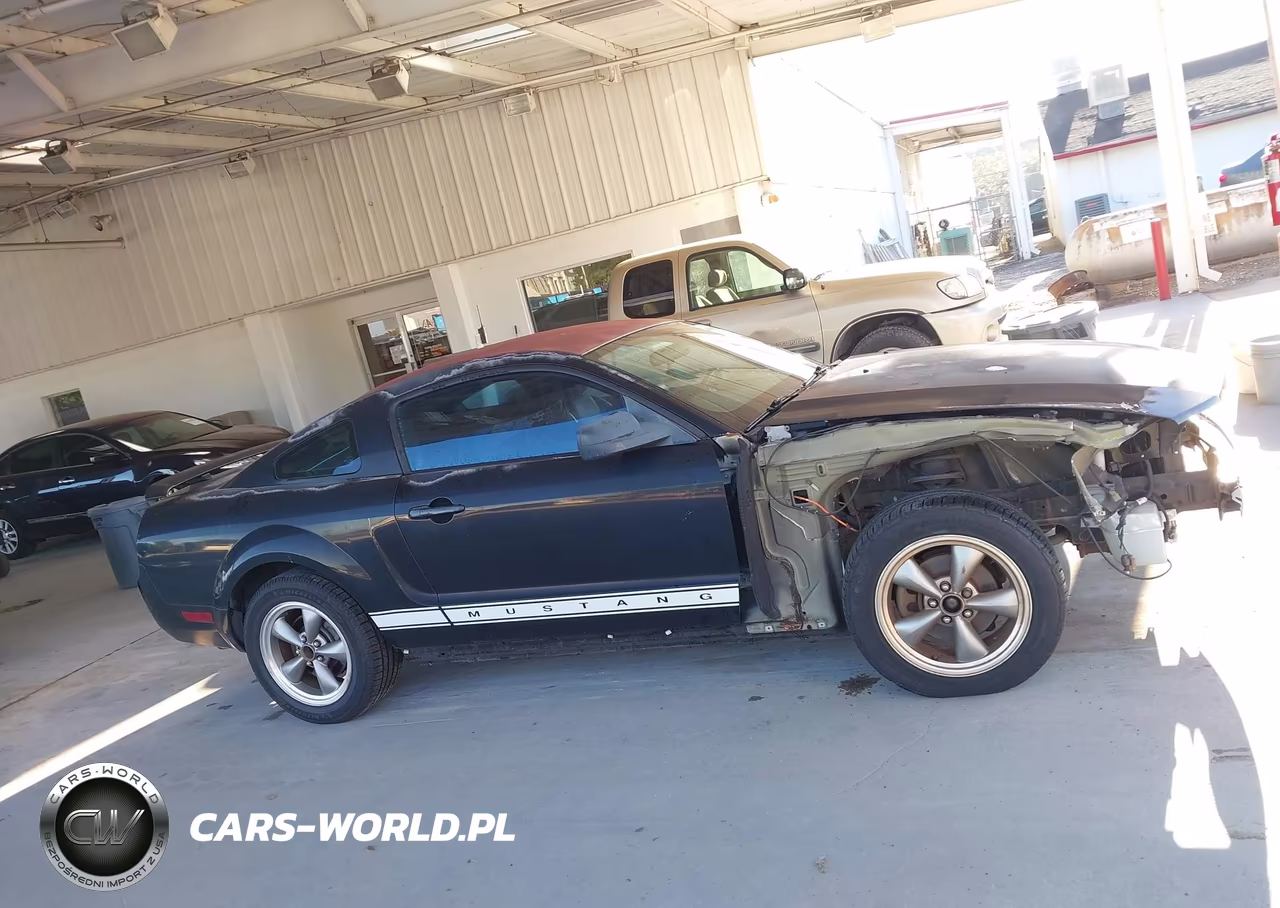 2006 Ford Mustang V6 VIN:1ZVFT80N165260041 - 14